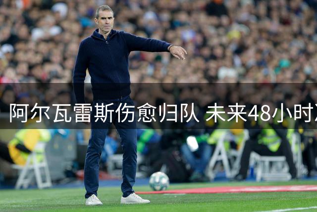 阿尔瓦雷斯伤愈归队 未来48小时决定转会去留